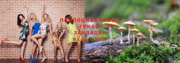 ALPHA-PVP Армянск