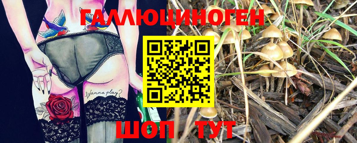 дарнет шоп  Вход с VPN  Галлюциногенные грибы мицелий  Канаш  Галлюциногенные грибы Psilocybe 
